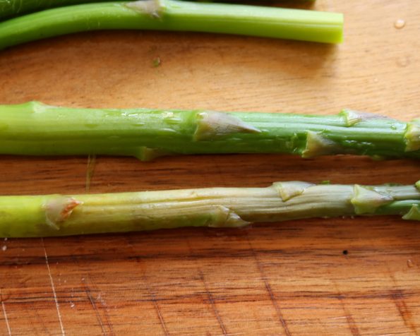 asparagus filo tart